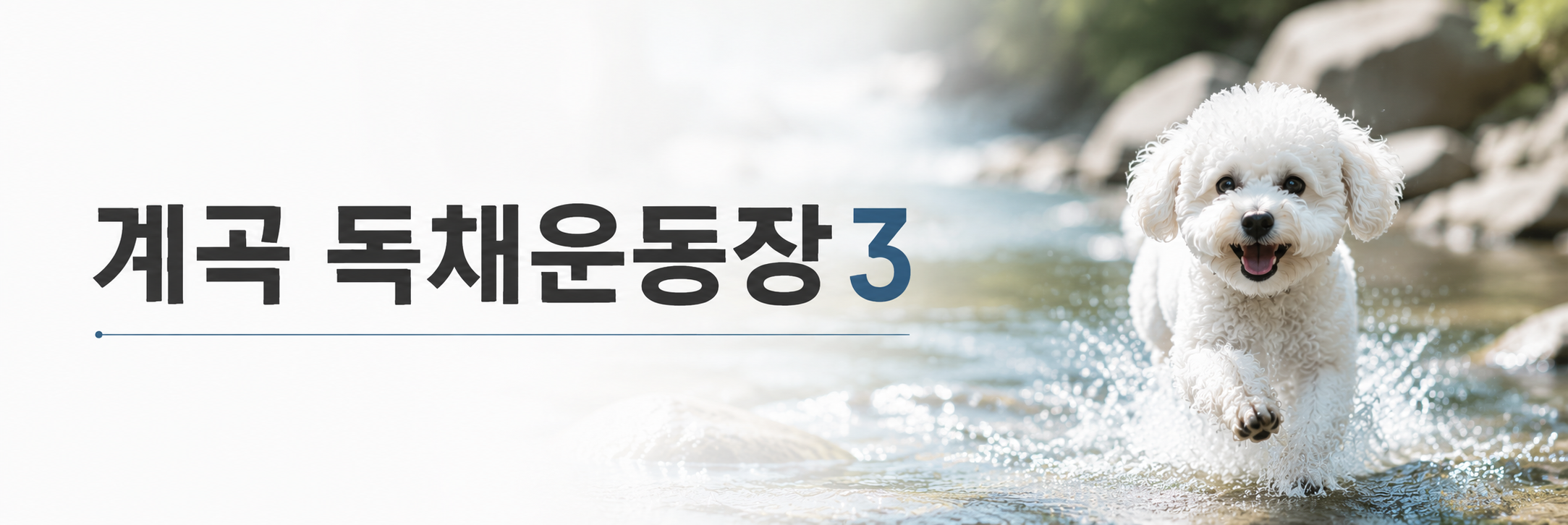 이벤트